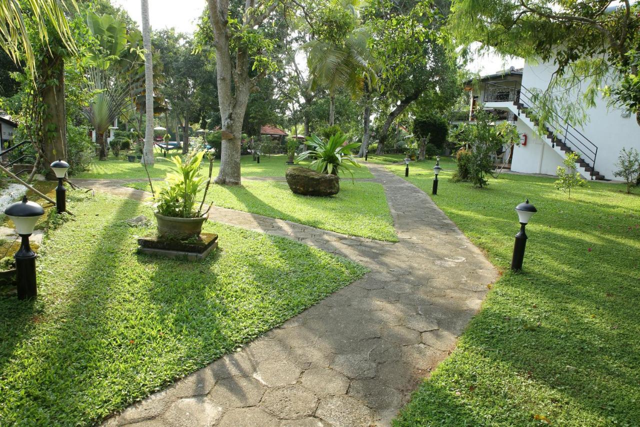 Ayurveda Centrum Lawrence Hill Paradise Hikkaduwa Exterior foto