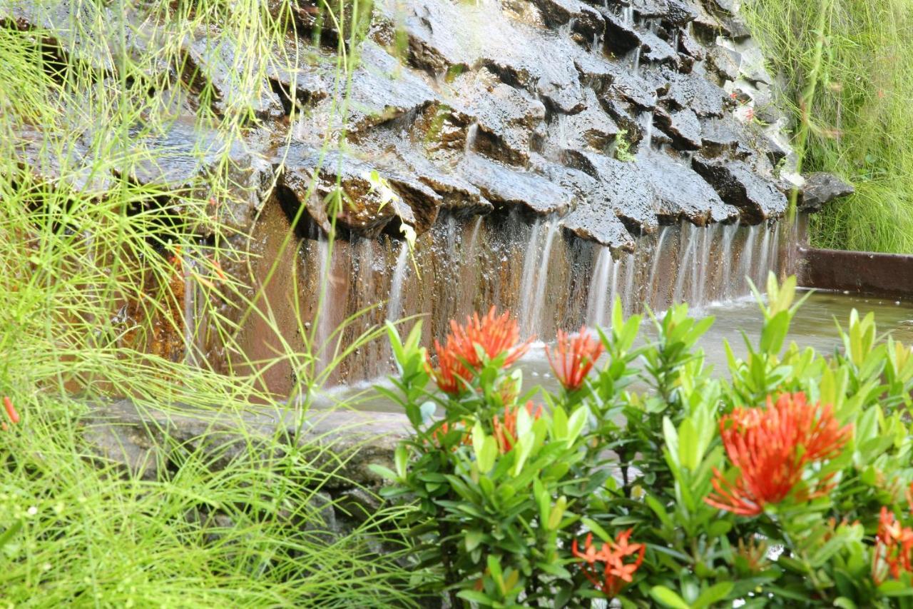 Ayurveda Centrum Lawrence Hill Paradise Hikkaduwa Exterior foto